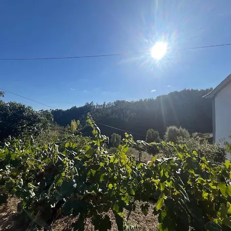A Casa Da Azenha Nyaraló Sertã