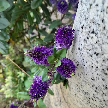 A Casa Da Azenha Feriehus *