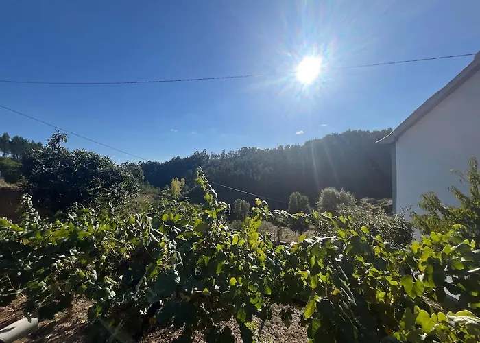 A Casa Da Azenha Prázdninový dům Sertã