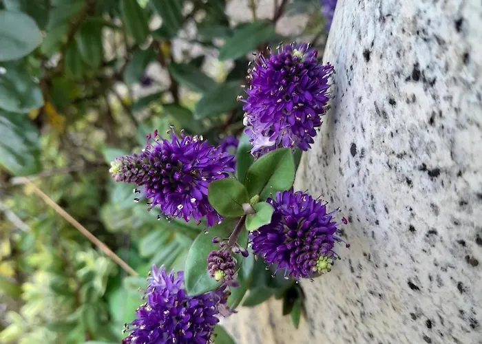 A Casa Da Azenha Prázdninový dům *